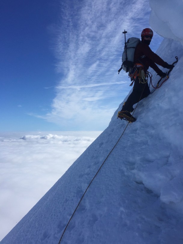 49828D12-F95D-4715-AF58-814D93D0526F