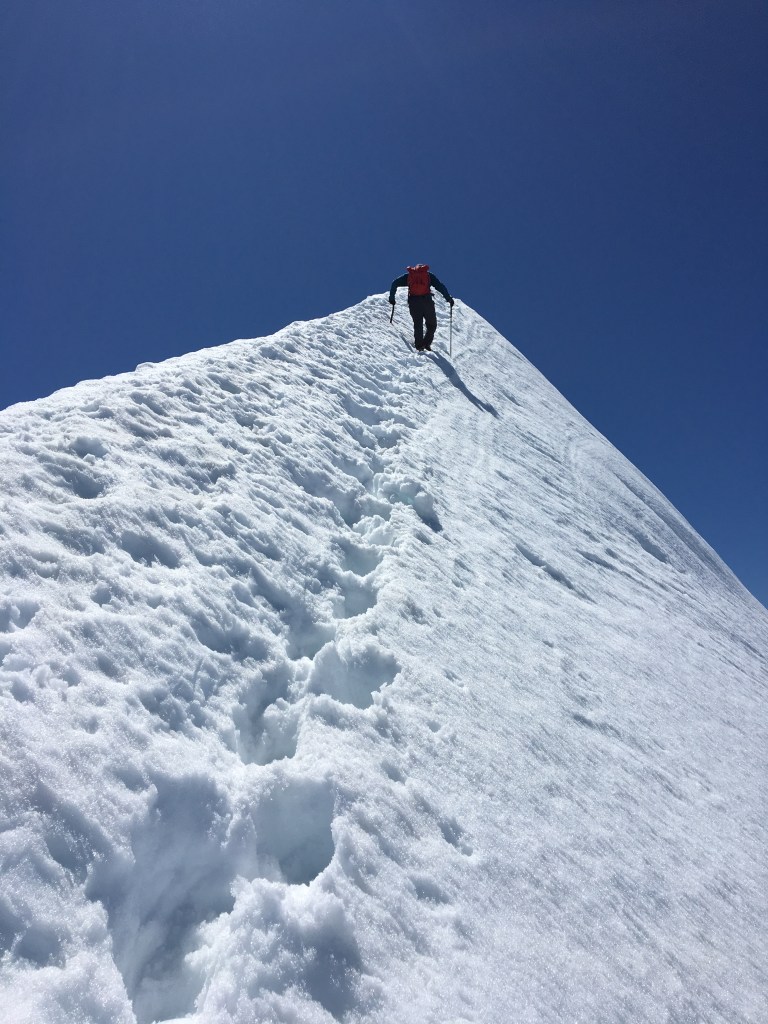 1ED6F8E1-2918-46AA-BFEB-F4C2842597DE